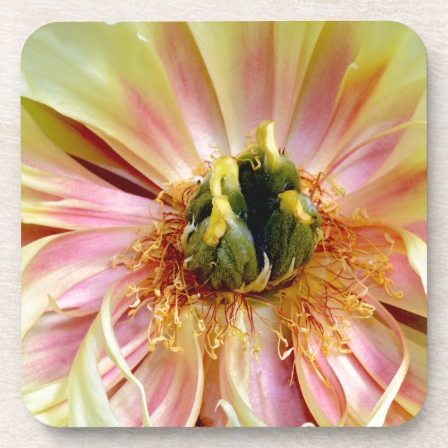Yellow Peony.jpg Coaster (Front)