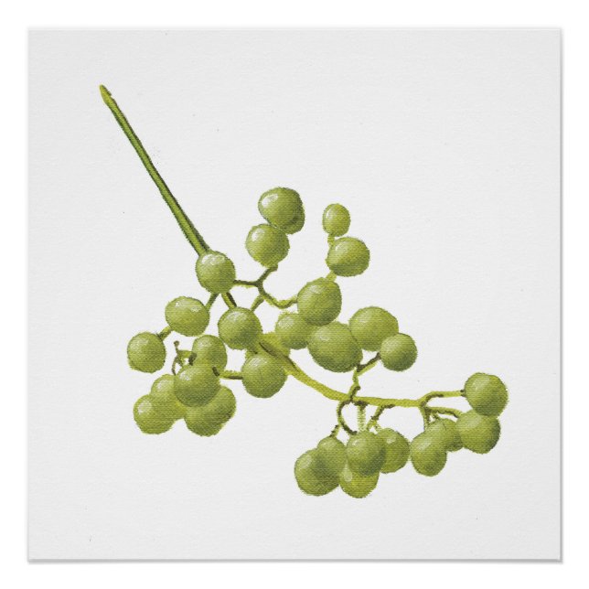 Yellow Peppercorns - Botanical Study 2 Poster (Front)