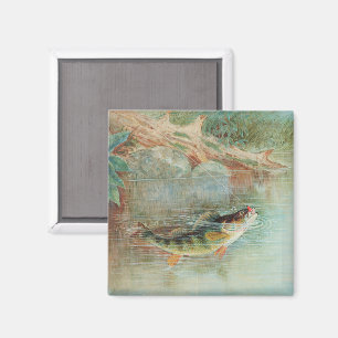 Yellow Perch by S.A. Kilbourne, Vintage Fish Magnet