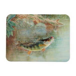 Yellow Perch by S.A. Kilbourne, Vintage Fish Magnet