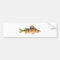 Yellow Perch (untitled)