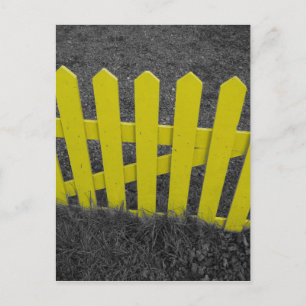 Yellow Picket Fence Postcard