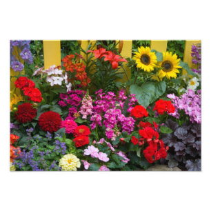 Yellow picket fence with flower garden in photo print
