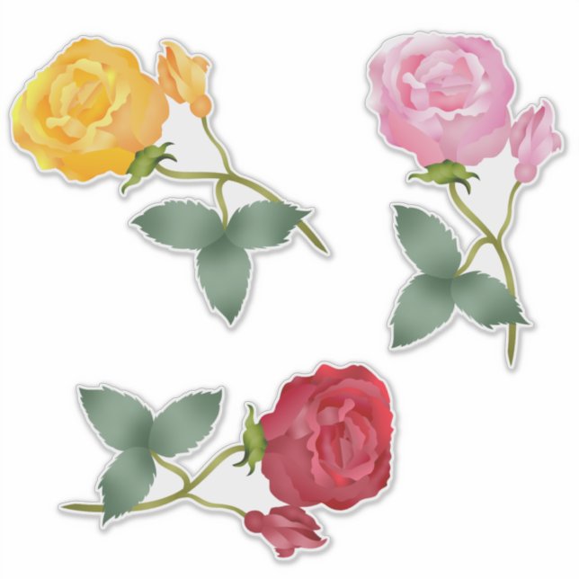 Yellow, Pink And Red Roses (Front)