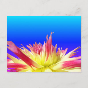 Yellow Pink Dahlia Blue BG Colour DIY Postcard