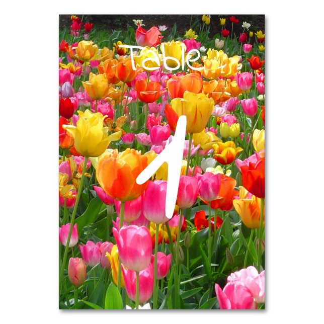 Yellow pink orange red tulips table number (Back)