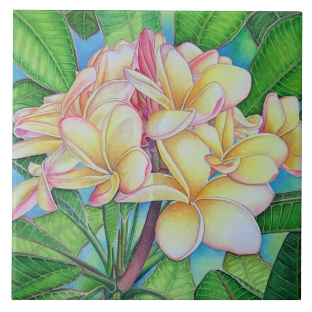 Yellow Pink Plumeria Tile (Front)