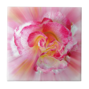 yellow pink Rose Tile
