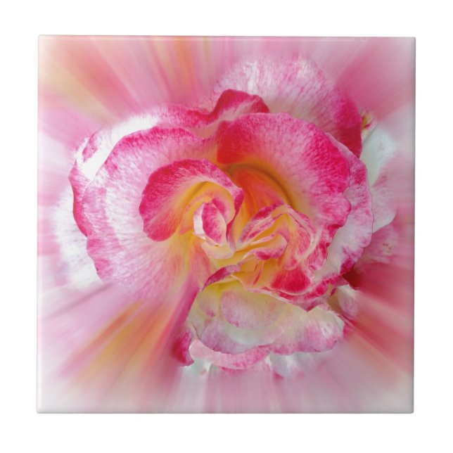 yellow pink Rose Tile (Front)