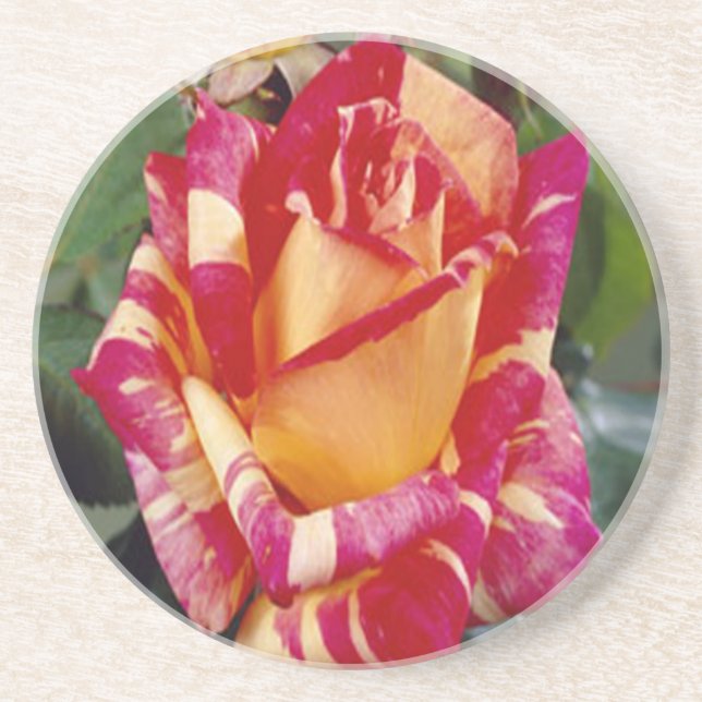 Yellow Pink Roses Coaster (Front)