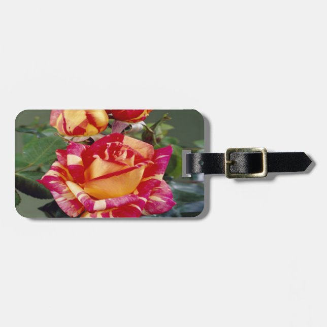 Yellow Pink Roses Luggage Tag (Front Horizontal)