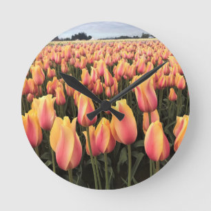 Yellow & Pink Tulip Field, Oregon Round Clock