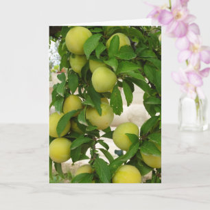 Yellow Plum Fruit Card
