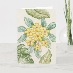 Yellow Plumeria blank card