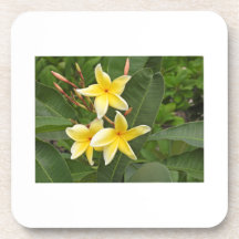 Yellow Plumeria Botanical Flower