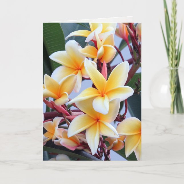 Yellow Plumeria Greeting Card (Front)
