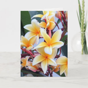 Yellow Plumeria Greeting Card
