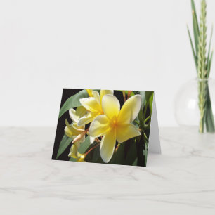 Yellow Plumeria  Photo Folded Note Card