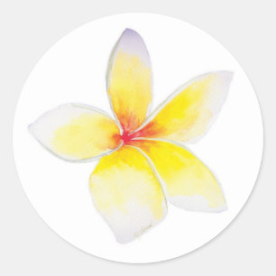 Yellow Plumeria Sticker