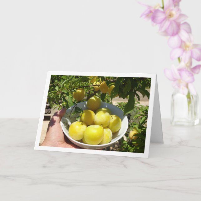 Yellow Plums in Bowl Card (Orchid)