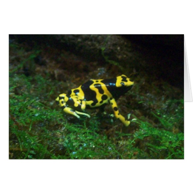 Yellow Poison Dart Frog card (Front Horizontal)