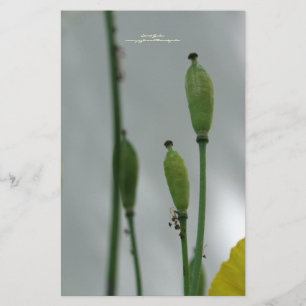 Yellow Poppies Shade 11 personalised Stationery