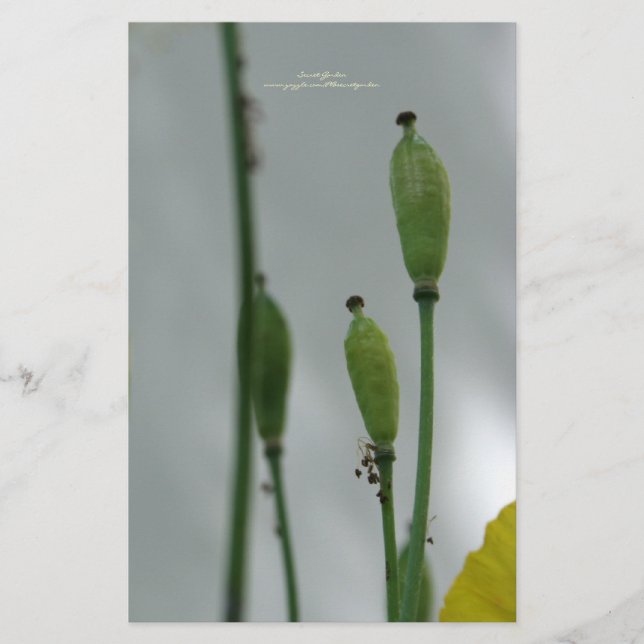 Yellow Poppies Shade 11 personalised Stationery (Front)