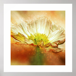 Yellow Poppy Flower Poster