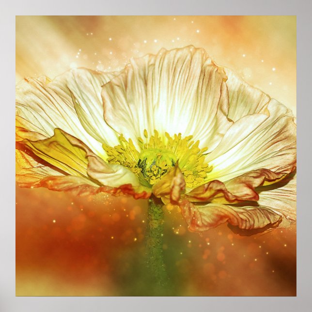 Yellow Poppy Flower Poster (Front)
