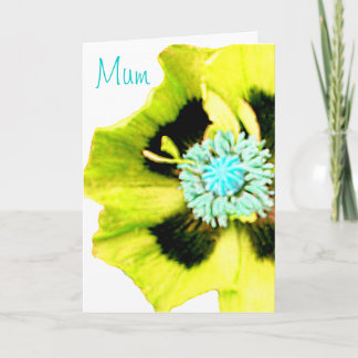 Yellow Poppy 'Mum' Mother's Day card white