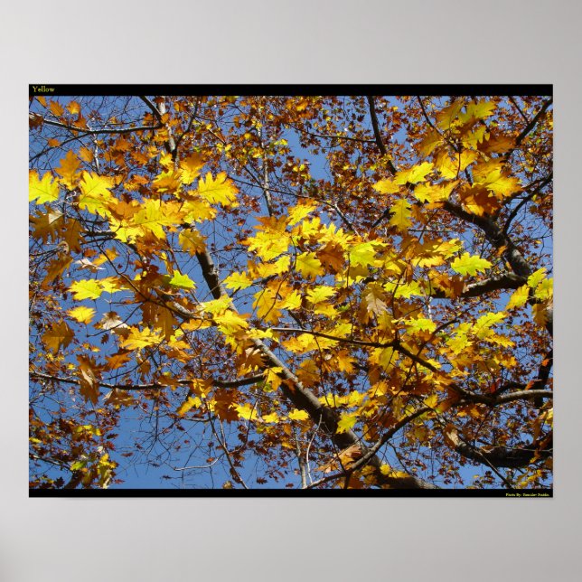 Yellow Poster (Front)