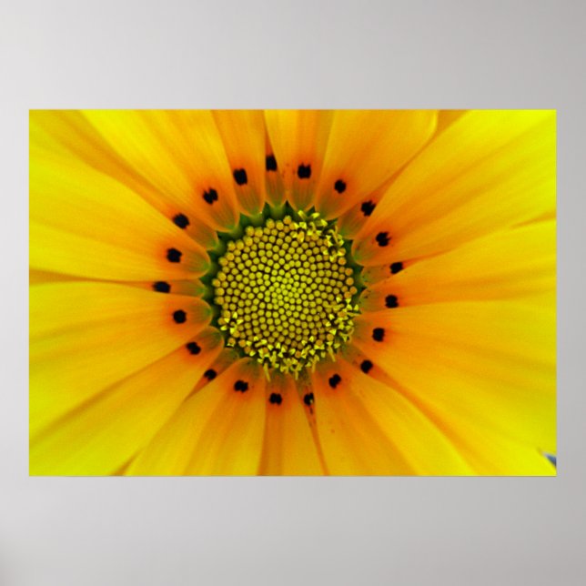 YELLOW POSTER (Front)