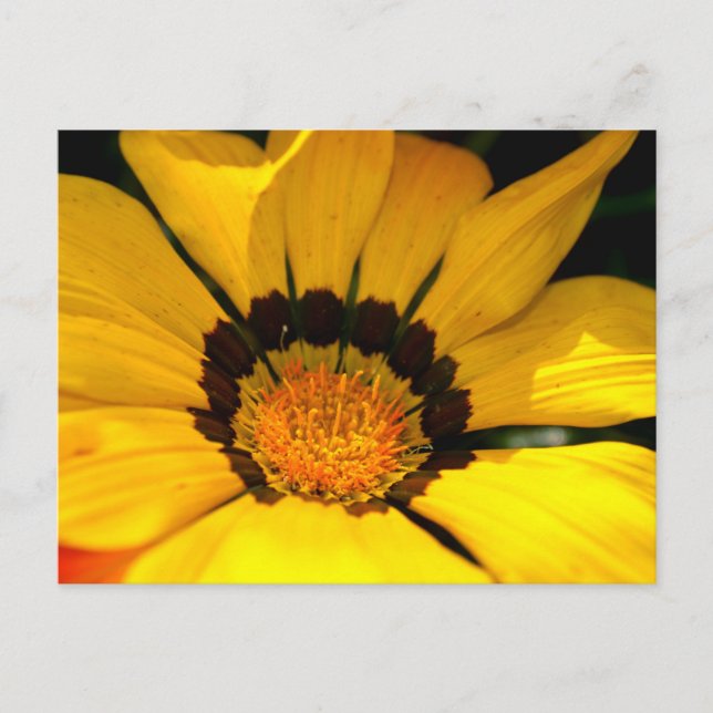 Yellow Power Postcard (Front)