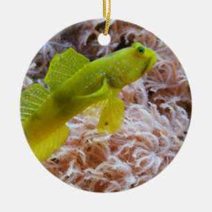 Yellow prawn-goby ceramic tree decoration