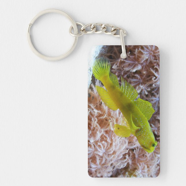 Yellow prawn-goby key ring (Front)