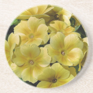 Yellow Primrose Floral Coaster