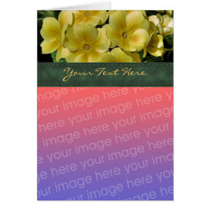 Yellow Primrose Flower Photo Card