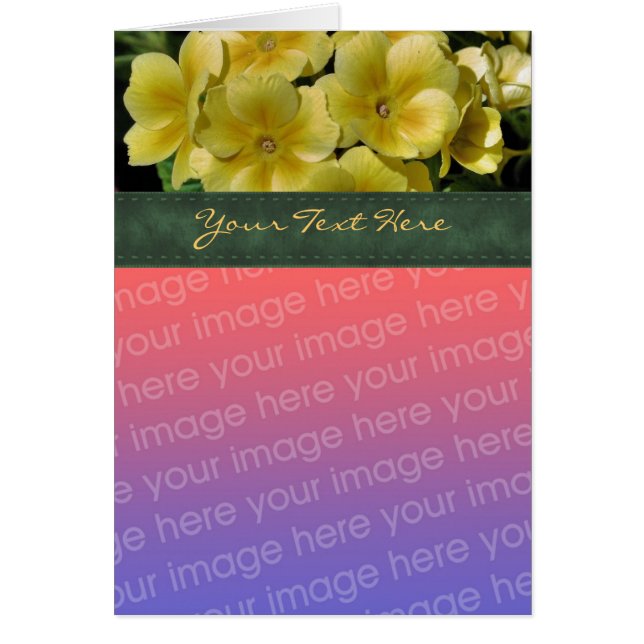 Yellow Primrose Flower Photo Card (Front)