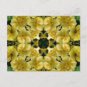 Yellow Primrose Kaleidoscope Art Flower Postcard