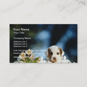 Yellow Puppy with brown ears looking over iron fen Business Card