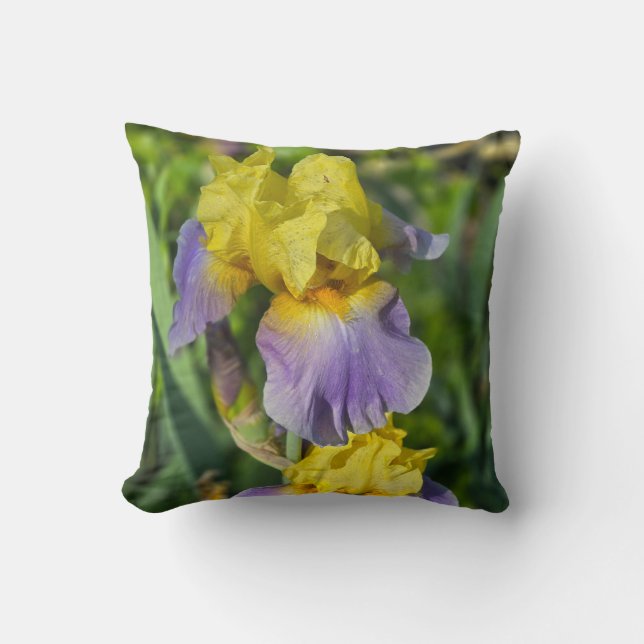 Yellow & Purple Flower Cushion (Front)