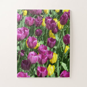 Yellow & Purple Tulip Flowers Jigsaw Puzzle