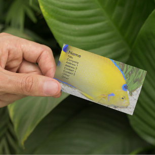 Yellow Queen Angelfish Photo Business Card