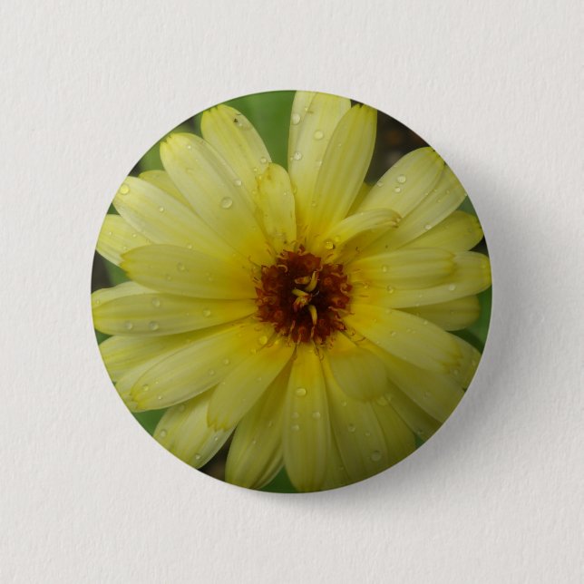 Yellow Raindrops Marigold Button (Front)