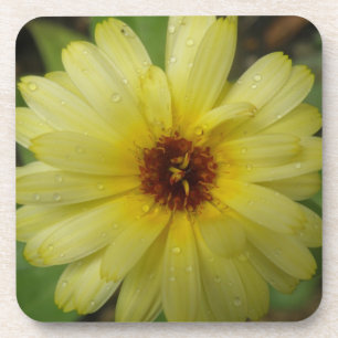 Yellow Raindrops Marigold Cork Coaster