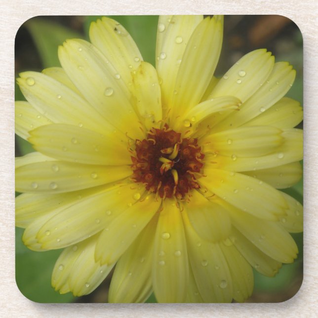 Yellow Raindrops Marigold Cork Coaster (Front)