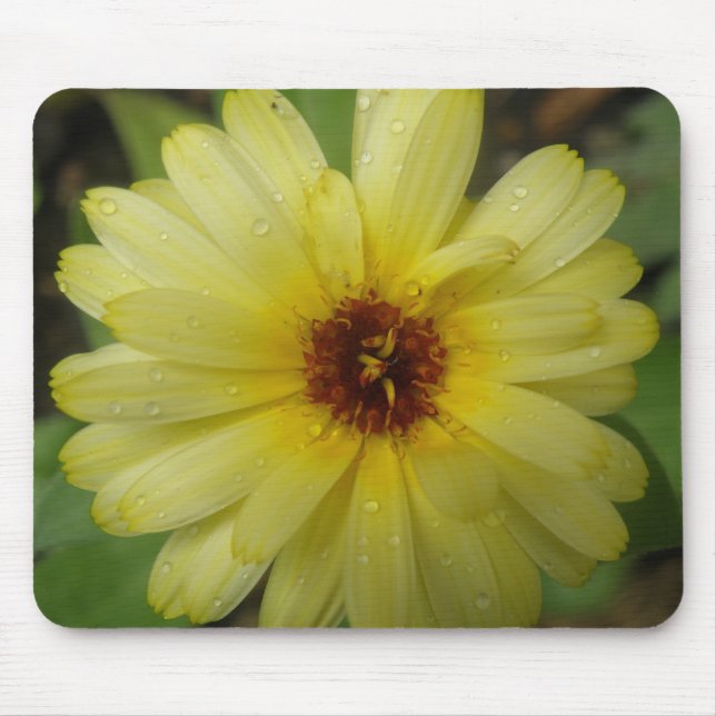 Yellow Raindrops Marigold Mousepad (Front)