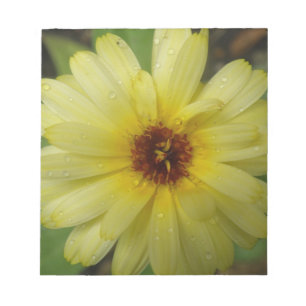 Yellow Raindrops Marigold Notepad