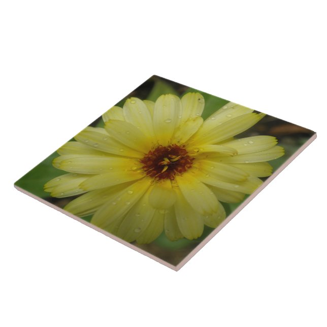 Yellow Raindrops Marigold Tile (Side)