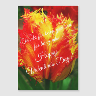 Yellow Red Curly Tulip Happy Valentine's Day